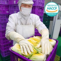 강원도 고랭지 절임배추 20kg 최고품종 김장배추, 100.2월 24일 (금) 도착
