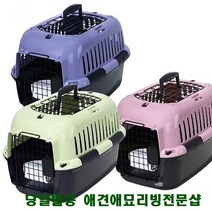 비숑 고양이침대 개침대 새끼강아지집 애견캐리어, 그린