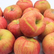 사과 가정용 선물세트 못난이 홍로 부사 5kg 10kg, 1개, 3키로 가정용 8~10과