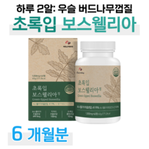 초록입홍합 초록 홍합 인도 보스웰리아 하루 두알 보스웰릭산 우슬 치커리 버드나무 껍질 홈쇼핑 골드 플래티넘 영양제 프리미엄 성분 가격 효능 비교 부모님 엄마 아빠 선생님, 6개월분, 1000mg x 60정 (하루두알)