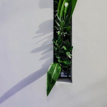 [캔들이케아] 국내산 프래그런스 오일 50ml 108종, 34_프리미엄 롬브로단로