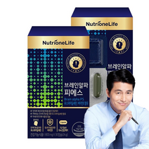 뉴트리원 뇌영양제 포스파티딜세린 식약처인증 인지력 개선 식물성캡슐 은행잎추출물 비타민E, 2box, 30캡슐