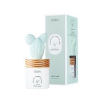 라운드어라운드 토끼 선인장 디퓨저 100ml