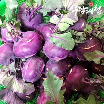 [식탐대첩] 국내산 보라빛 콜라비 10kg, 상세 설명 참조