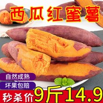 워터 6kg 생고구마 한박스 농가의 노란 마음의 멜론 음식물건조기, T01-5근, C03-품질