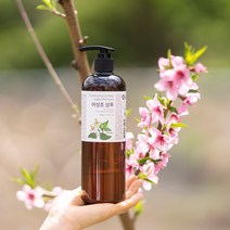 2개 어성초 두피 진정 샴푸 유안재 500ml, 1개