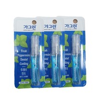 _ 동아제약 가그린 후레쉬 민트 3개 마우스스프레이