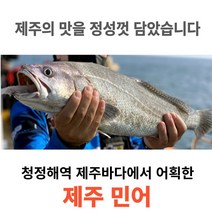 [제주어부] 100% 제주 민어 특대 제주수협 론칭특가, 2마리(1kg내외)