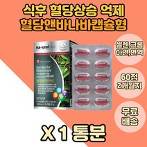 식약처인증 혈당 엔 바나바 바나바잎 코로솔산 1통 비타민C 아연 면역영양제 바나바잎추출물 바나나잎 산화아연 식약처인증 식후 혈당상승 억제 도움 바나바영양제 corosolic 크롬, 1개