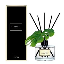 시즈넬 플라워 디퓨져 200ml 몬스테라 조화, 아이스 블루 민트향