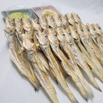 [인생건어물]지방태 대구 줄노가리 100미, 줄노가리 160급 100미