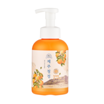 [ZUZUZU:제주청정 신제품 핸드워시] 제주청정 포밍 손세정제/ 천혜향 300ml 500ml / 거품손세정제 / 안심손세정제/ 손소독제 / 버블 핸드워시/ 간편용기형, 제주청정 손세정제 500ml
