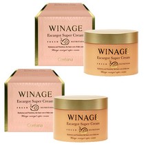 코리아나 위네이지 달팽이 슈퍼 크림 100mL, 2개