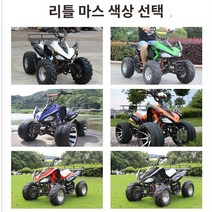 ATV 사륜바이크 전지형 크기 화성 비치 차축 구동 수냉 사륜 산악 오토바이는 가솔린 4륜구동, 13 옵션선택