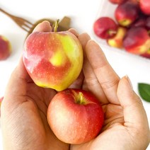 경북 의성 껍질째 먹는 루비에스 미니사과, 1개, 루비에스사과 1kg