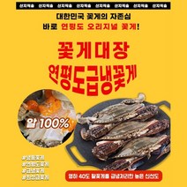 꽃게대장 연평도 꽃게 냉동꽃게 암꽃게 숫꽃게 제철, 옵션선택