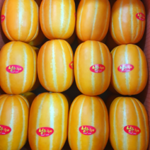 ( 산지직송 ) 성주 참외 꿀 참외 가정용 고당도 특품 최상품, 가정용로열과 10kg (30~40개)