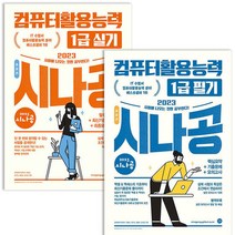 2023 시나공 총정리 컴퓨터활용능력 1급 필기+실기 세트 컴활, 단품