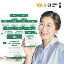 비타민마을 퍼펙트바이오틱스 기억력 혈행 장건강엔 징코 은행잎추출물 생유산균 30캡슐 X 30박스, 30정