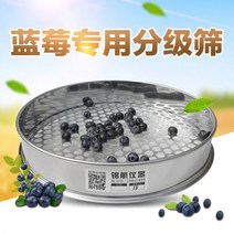 블루베리 구멍 선별 곡식 곡물 수동 스테인리스 선별기 10mm 부터 20mm, 지름 12mm개