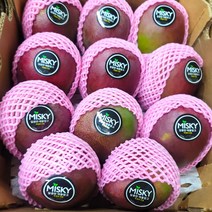 페루 애플망고 7-10과 4kg, 1box, 7-10입 4kg