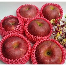 경북 청송사과 안동 부사 맛있는 꿀사과 정품 10KG 과일선물, 정품 대과(24-26과)
