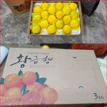 이든 황금향 5kg 프리미엄 특선물용 9~13개 제주황금향 레드키위 노지감귤 조생귤 부모님 친지 지인 선물 대량주문, 단품