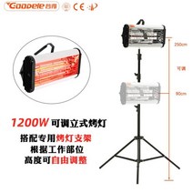 휴대용 페인트 열처리기 적외선 고온 자동차 도색 필름 건조기 램프, 1200W 수직 그릴 램프(타이밍 조절)