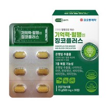 코오롱제약 기억력 혈행엔 징코 플러스, 15g, 1개