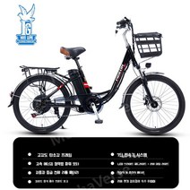 트렉전기자전거 전기MTB Mtb전기자전거 비행 비둘기 새로운 국가 표준 리튬 배터리 전기 자전거 24 인치 성인 경량 가변 속도 보조 레저 스쿠터 배터리 자동차, 비행 비둘기-블랙-6a, 48V