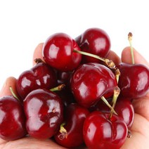 [항공직송]프리미엄 킹체리 500g/1kg (9R-9.5R), 체리 (9R-9.5R) 500g