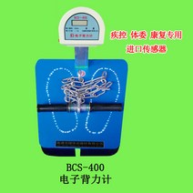 배 근력 측정 전자 역력 게이지 체력 테스트 근력기