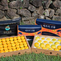 명품패키지 귤담원 과일 명절 선물세트 황금향, 1박스, 01.황금향 선물세트 2kg 중소과(8-12과)