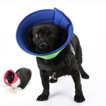 강아지넥카라 매쉬 중성화 목카라 긁기 방지 꼬깔, 로즈 레드, 4호(목둘레28-34cm)