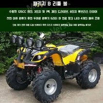 ATV 전기사발이 산악 4륜 농업용 오프로드 가솔린 전기 4륜구동 자동 변속기 JH, 리틀 불 패키지 B