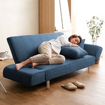 1인용 패브릭 쇼파 전현무 나혼산 거실 인테리어 천, 럭셔리 모델 블루 셔닐 천  베개 2개