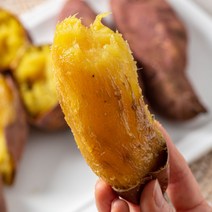 22년 수확한 해남 꿀고구마 호박고구마5kg 3kg 직배송 국내산, 호박 한입 5kg