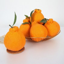 [초록자연] 제주 한라봉 3kg(6-7과) 가정용 고당도, 상세 참조