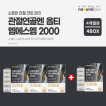 손가락 손목 무릎 관절 연골 뼈 통증 에 좋은 좋아지는 움직임 불편감 감소 노화 기능 개선 엠에스엠 비타민D 아연 디메틸설폰 opti msm, 3+1(4개월분)