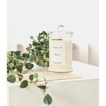 그날의향기 천연 소이캔들 방향제 인테리어소품, 대, 판타지