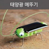 태양광 곤충 장난감 과학 실험 놀이 메뚜기 방과후학습 수업자료 교육