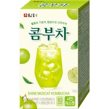 담터 콤부차 샤인머스캣, 10개, 5g
