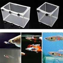 물고기 탱크 수족관 사육 guppy 사육자 물고기 baby gauze trap box isolator sl compact, l, 하얀색