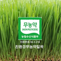 분당밀싹농장 밀싹600g 밀싹, 600g