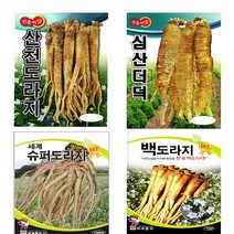 슈퍼도라지 씨앗 종자 백도라지 더덕 5g 1000립 (슈퍼도라지 씨앗 종자 백도라지 더덕 5g 1000립), 4.백도라지 1000립