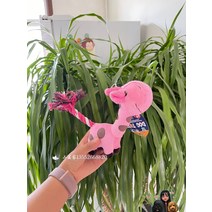 페치게임 만 38 미드 소형 개 강아지 소리나는 BB 부르다 매듭끈 동행 이갈이 테디 2707028853, 어린사슴 -핑크