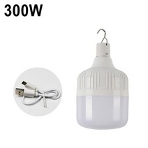 스티로폼아이스박스 스치로폼 상자 미니 냉장고 300W 휴대용 캠핑 라이트 Usb 충전식 Led 전구 걸이 텐트 아웃도어 가든 바베큐 비상 슈퍼 피크닉 하이킹 야외용 조명, [06] 120-300W