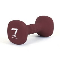 아리프 아이워너 네오프렌 사각아령 7KG 근력운동 덤벨 헬스 바벨, 단품없음, 선택완료