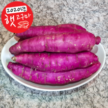 지유상회 꿀고구마, 1개, 긴중 5kg