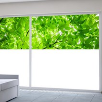 무점착 유리시트지 ( KS2200 ) 화이트아웃